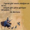 Mevlana-sözleri-kısa-facebook.jpg